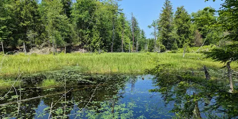 Isinglass River Conservation Reserve