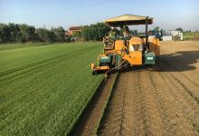Azienda Agricola I Giardini di Beatrice购物图片