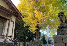 Yanaseoji Shrine景点图片