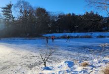 Flerra Meadows景点图片