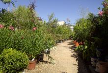 L' Jardine购物图片