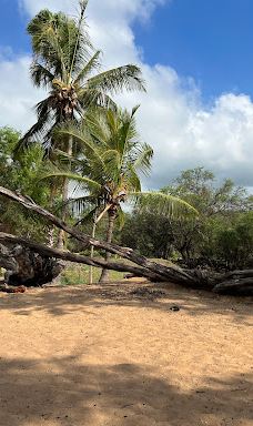 Po‘olenalena Beach Park-维雷亚
