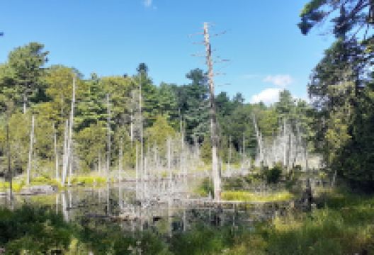 Raven Ridge Natural Area景点图片