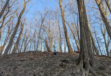 Oak Park Trail景点图片