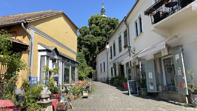 Newsee.Store