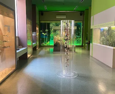 Teatro delle Scienze e Planetario