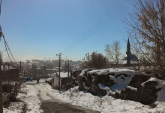 Çocuk Bahçesi景点图片