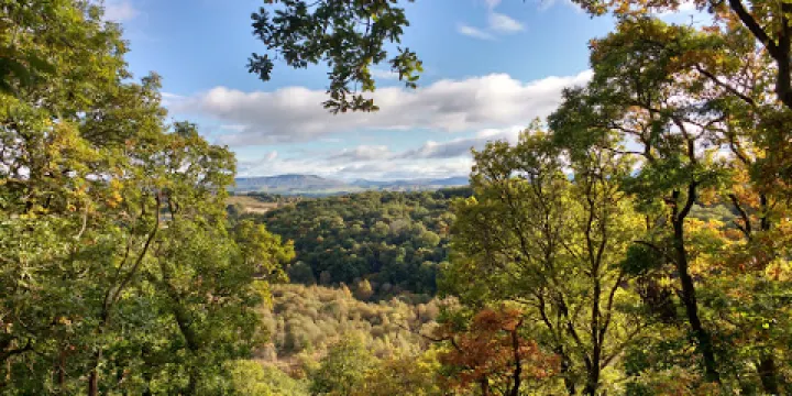 Doon Hill and Fairy Knowe