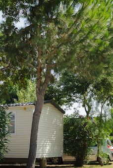 Camping La Plage Argelès-滨海阿热莱斯