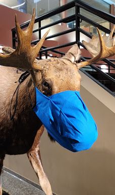 布法罗科学博物馆-布法罗