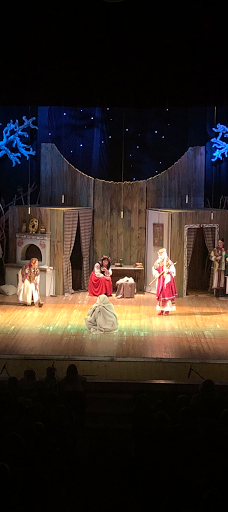 Luts'ka city council