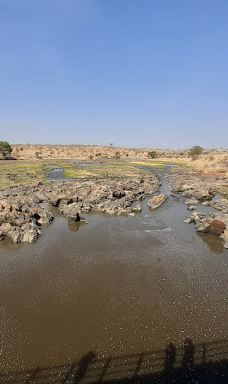 Ruaha National Park INGRESSO-伊林加