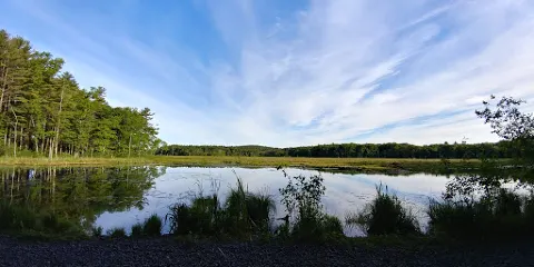 Lowell-Dracut-Tyngsborough State Forest