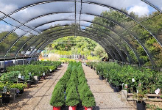 Green Acre Garden Center购物图片