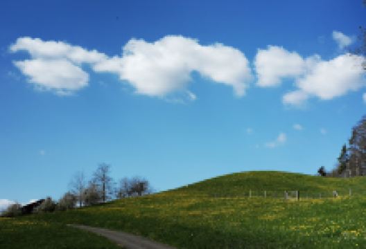 Rütifall Diegten景点图片