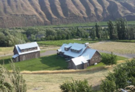 Bella Terrazza Vineyards景点图片