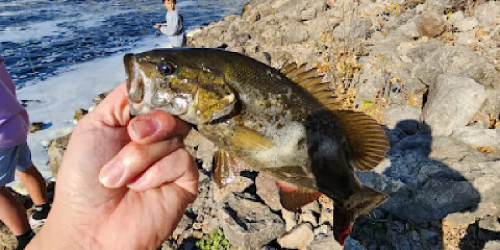 Coon Rapids Dam Regional Park
