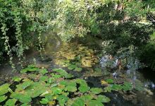 Camping le gue de la riviěre景点图片