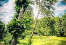 Park Naunhof am Hopfenbach / Ebersbach景点图片