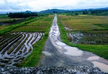 Trung Tâm Bảo Tồn Di Sản Thành Nhà Hồ景点图片