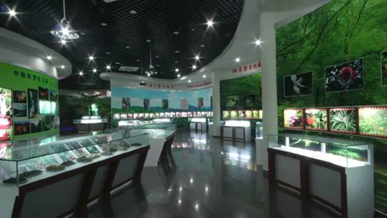 中國桫欏博物館