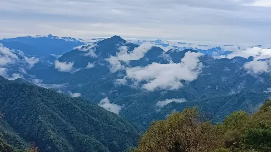 大嶺雲海