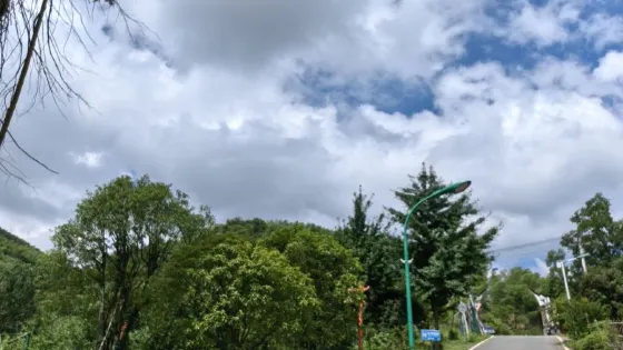 陳家溝美麗鄉村