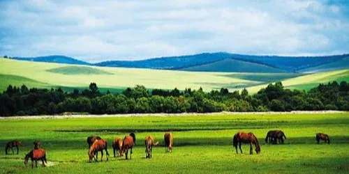 陳巴爾虎旗草原小鎮