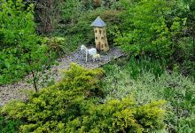 Saltburn Community Woodland景点图片
