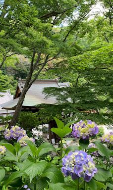Fumon-ji Temple-丰桥市