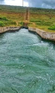 Muruthalawa ginipetti palama-汉班托特