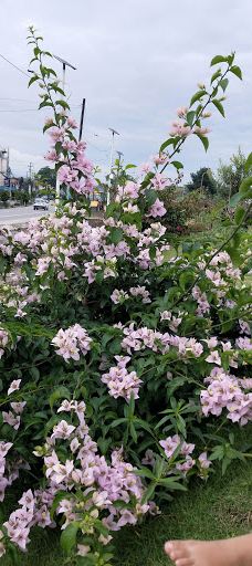 Tinkune Park-加德满都