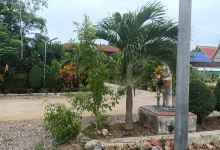 Wat Nikumaram景点图片