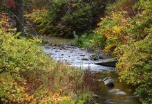 Catharine Valley Trail景点图片