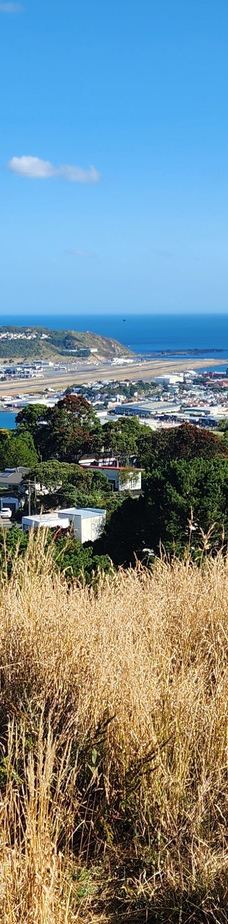 维多利亚山-惠灵顿