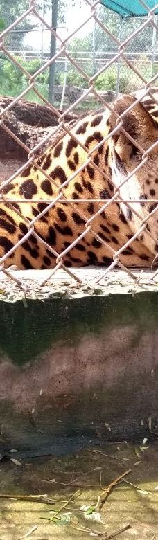 Botanical Garden of Asunción-亚松森