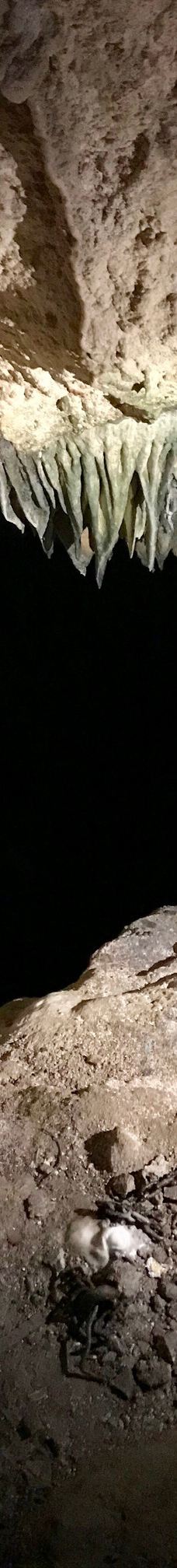 Grotta Zinzulusa-卡斯特罗