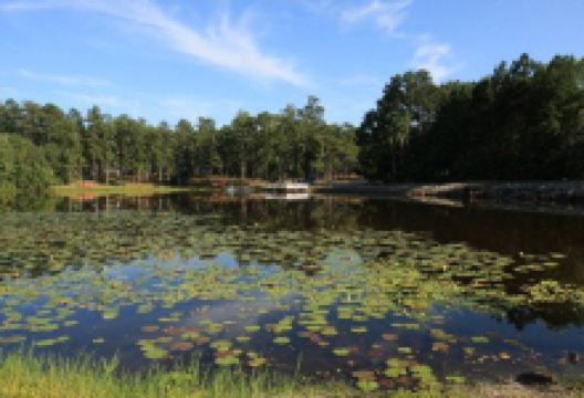 Magnolia Springs State Park景点图片