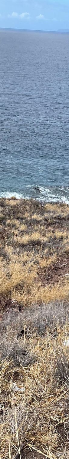 Papawai Scenic Lookout-茂宜县