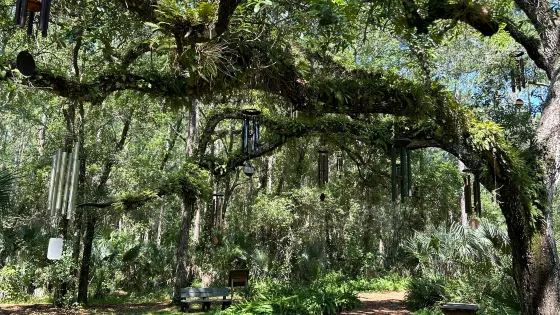 Trout Lake Nature Center