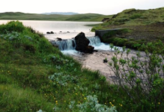 Natural Treasure景点图片