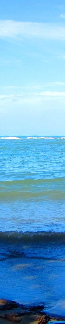 Playa Cocles-Talamanca