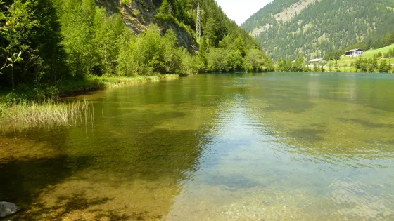 Brennersee