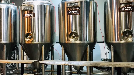 Back Forty Brewery