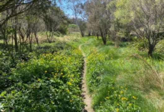 Kedumba River景点图片