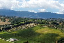 Tenuta Arabona景点图片
