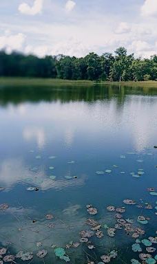 Gadchiroli Lake-加德奇罗利