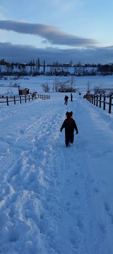 Andy Adams Park-雷顿