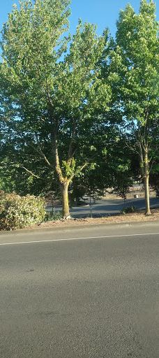 Forest Glen Park-森特勒尔波因特