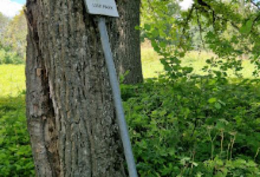 Liivi park景点图片